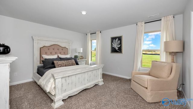 9939 Sequoyah Cove Drive, Owens Cross Roads, AL 35763