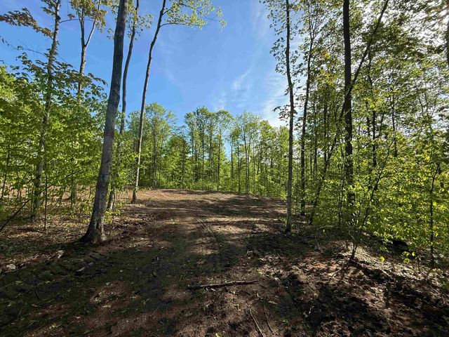 1371 E Solaris Way, Maple City, MI 49664