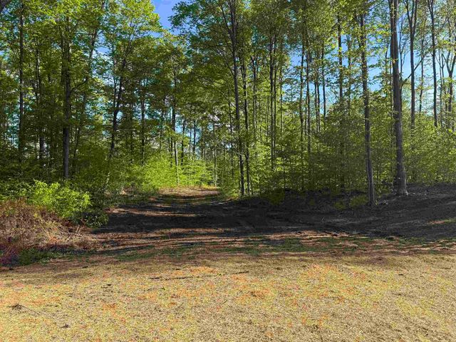 1371 E Solaris Way, Maple City, MI 49664