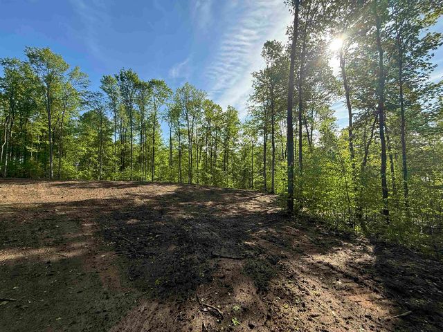 1371 E Solaris Way, Maple City, MI 49664