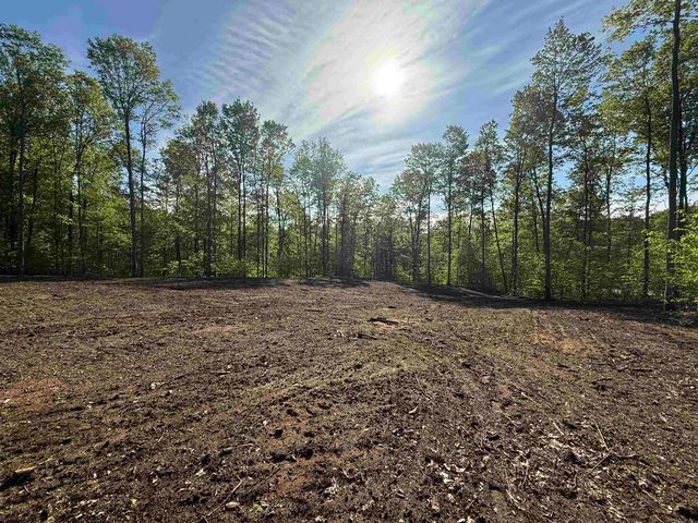 1371 E Solaris Way, Maple City, MI 49664