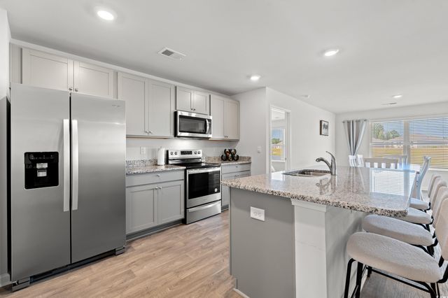 514 Strawberry Field Way, Galivants Ferry, SC 29544