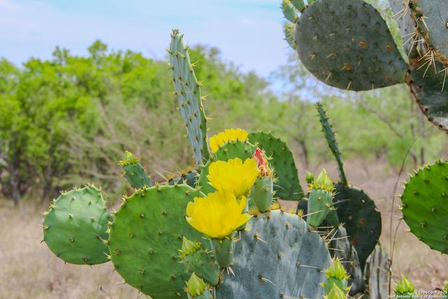 TBD CR 341, Hondo, TX 78861