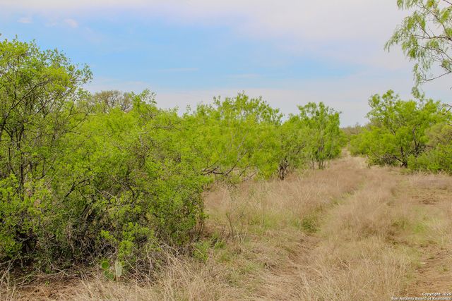TBD CR 341, Hondo, TX 78861