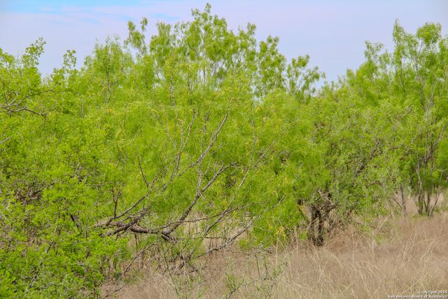 TBD CR 341, Hondo, TX 78861