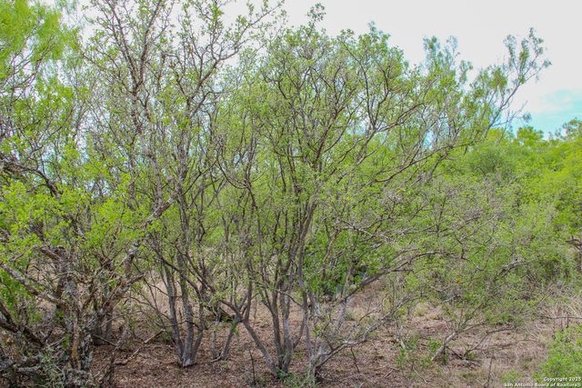 TBD CR 341, Hondo, TX 78861