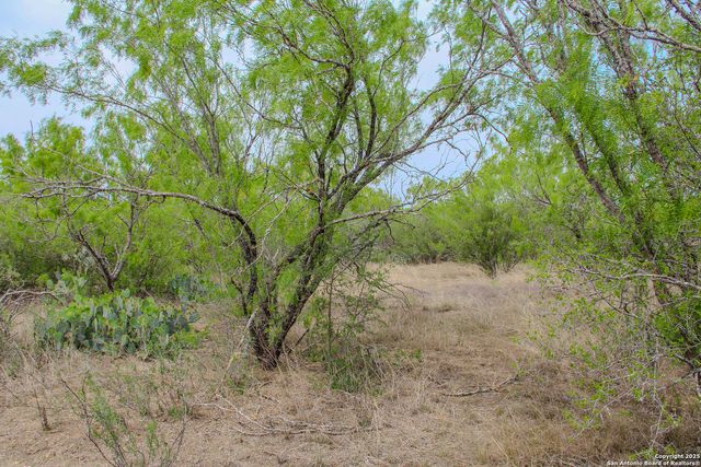 TBD CR 341, Hondo, TX 78861