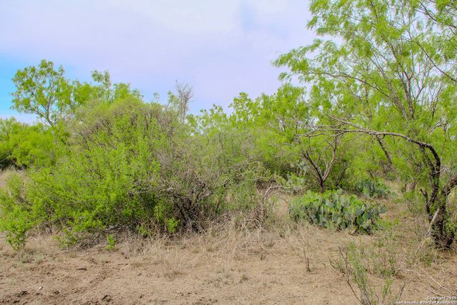 TBD CR 341, Hondo, TX 78861