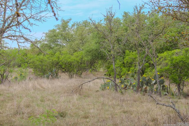 TBD CR 341, Hondo, TX 78861