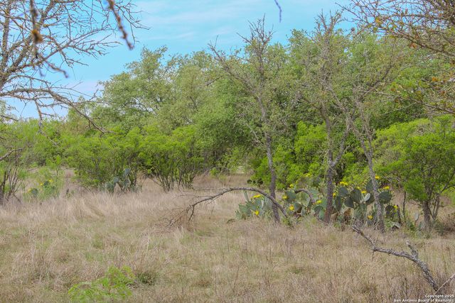 TBD CR 341, Hondo, TX 78861