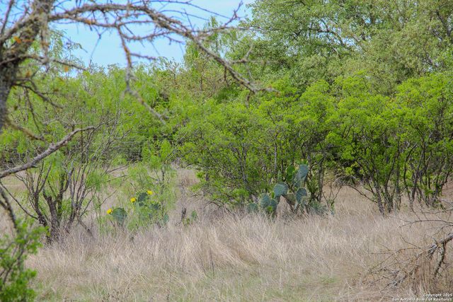 TBD CR 341, Hondo, TX 78861