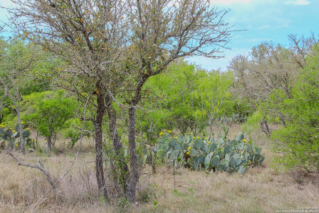 TBD CR 341, Hondo, TX 78861