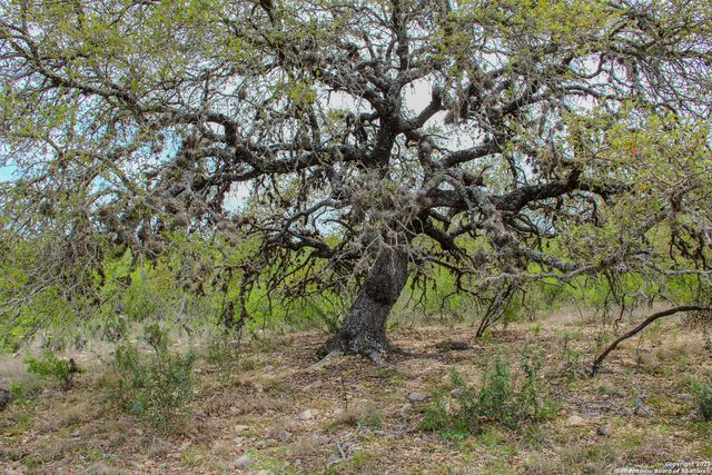 TBD CR 341, Hondo, TX 78861