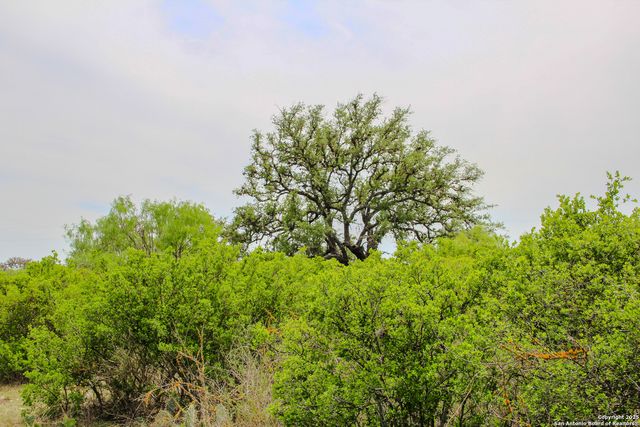 TBD CR 341, Hondo, TX 78861