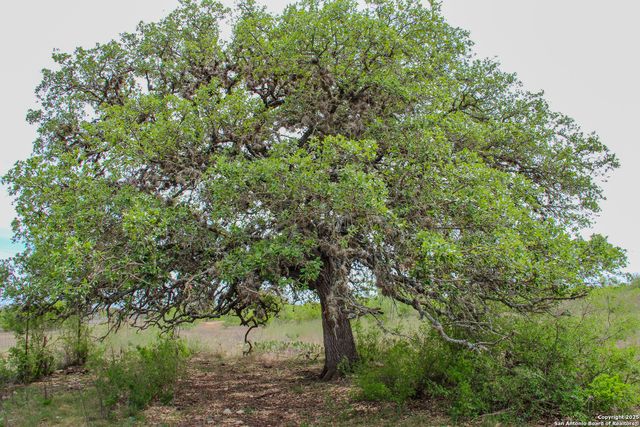 TBD CR 341, Hondo, TX 78861