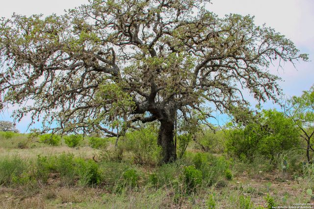 TBD CR 341, Hondo, TX 78861