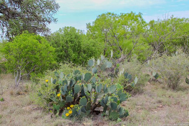 TBD CR 341, Hondo, TX 78861