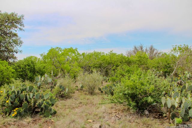 TBD CR 341, Hondo, TX 78861