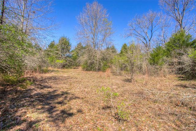 TBD County Road 482, Normangee, TX 77871
