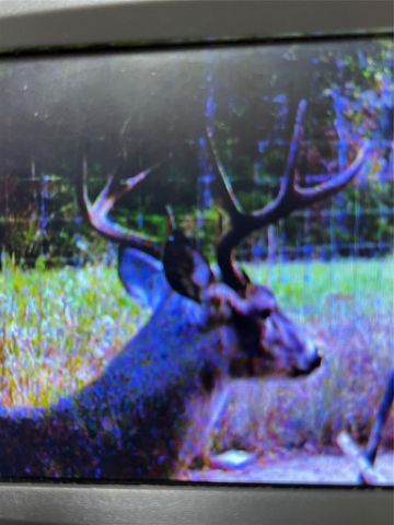 TBD County Road 482, Normangee, TX 77871