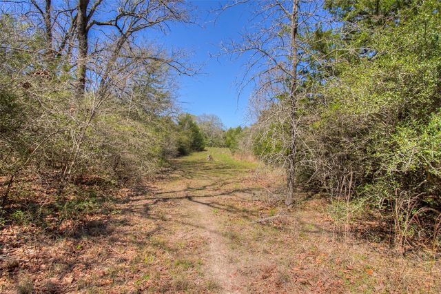 TBD County Road 482, Normangee, TX 77871