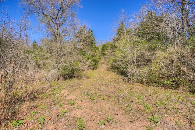 TBD County Road 482, Normangee, TX 77871