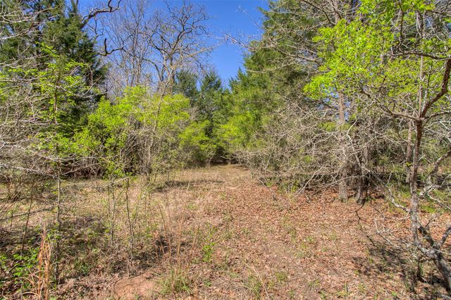 TBD County Road 482, Normangee, TX 77871
