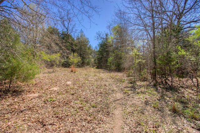 TBD County Road 482, Normangee, TX 77871