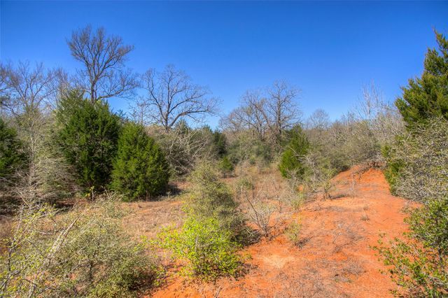 TBD County Road 482, Normangee, TX 77871