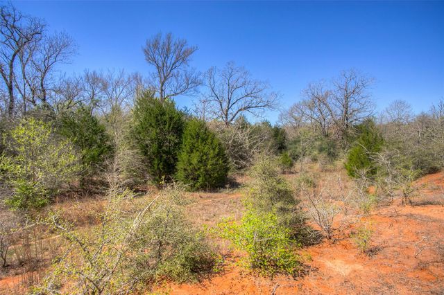 TBD County Road 482, Normangee, TX 77871
