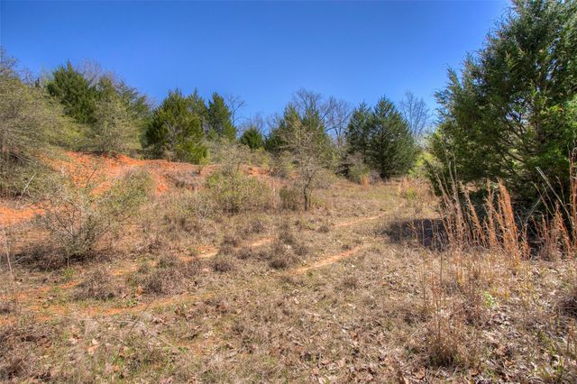 TBD County Road 482, Normangee, TX 77871