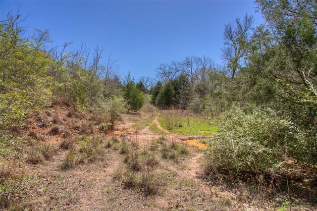 TBD County Road 482, Normangee, TX 77871