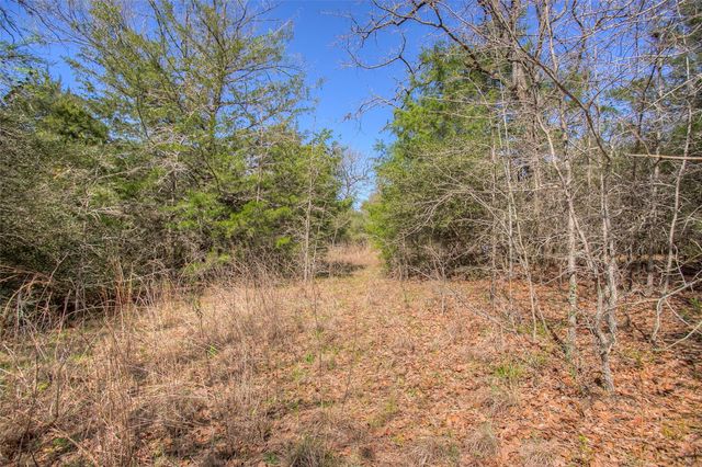 TBD County Road 482, Normangee, TX 77871