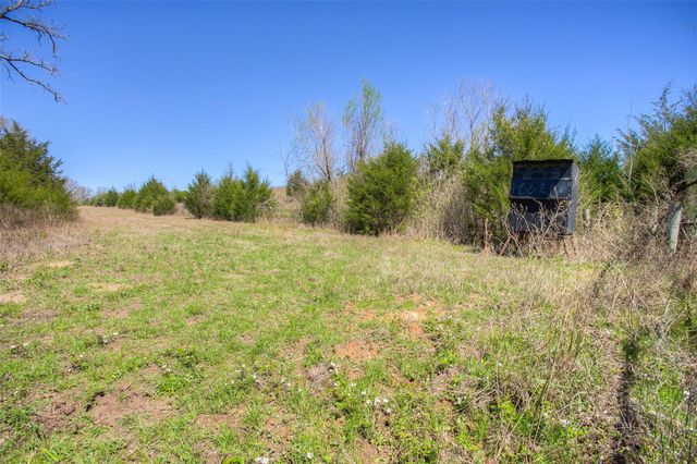 TBD County Road 482, Normangee, TX 77871