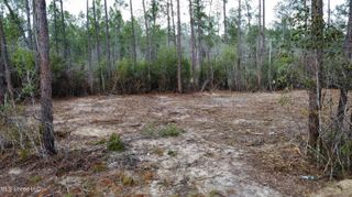 Parcel 11 Rocky Hill Dedeaux Road, Kiln, MS 39556