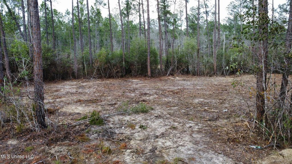 Parcel 11 Rocky Hill Dedeaux Road, Kiln, MS 39556