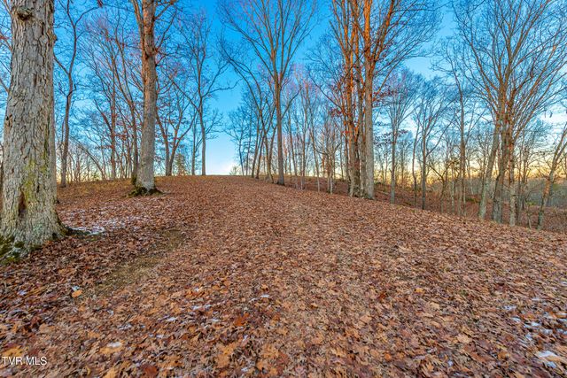 2321 Turkey Ridge Lane, Piney Flats, TN 37686