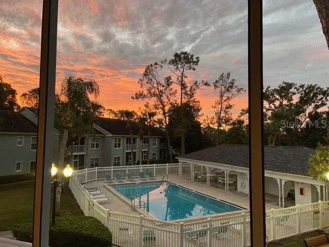 330 PROMENADE DRIVE 206, Dunedin, FL 34698