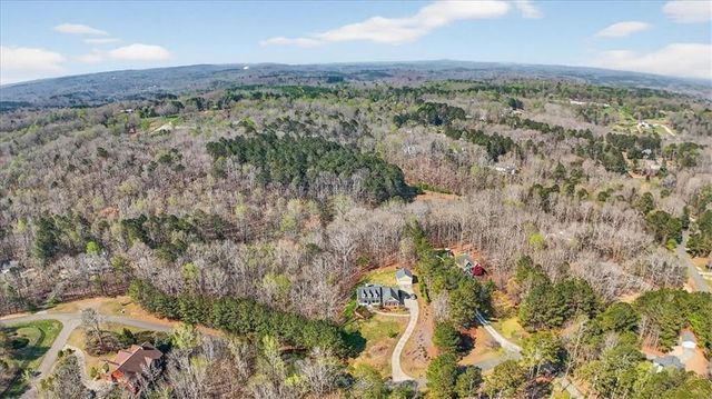 420 Gold Rush Trail, Ball Ground, GA 30107