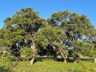 TBD CR 213, Goldthwaite, TX 76844