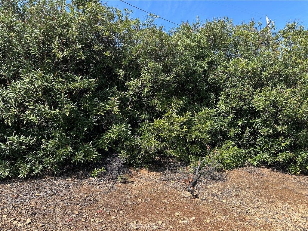 Image 6 of property listing at 3410 Riviera West Drive, Kelseyville, CA 95451