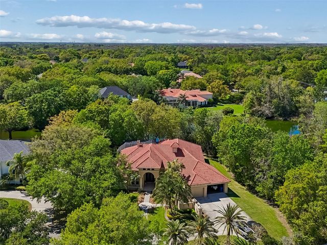 17008 MADRES DE AVILA, Tampa, FL 33613