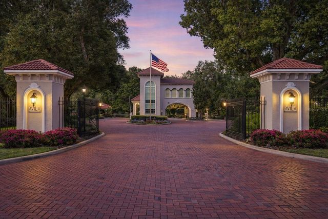 17008 MADRES DE AVILA, Tampa, FL 33613