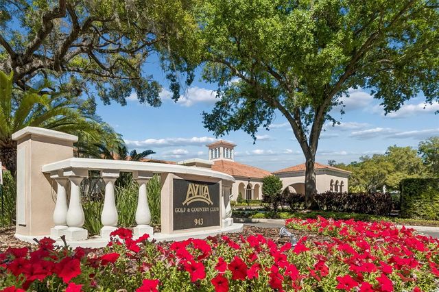 17008 MADRES DE AVILA, Tampa, FL 33613