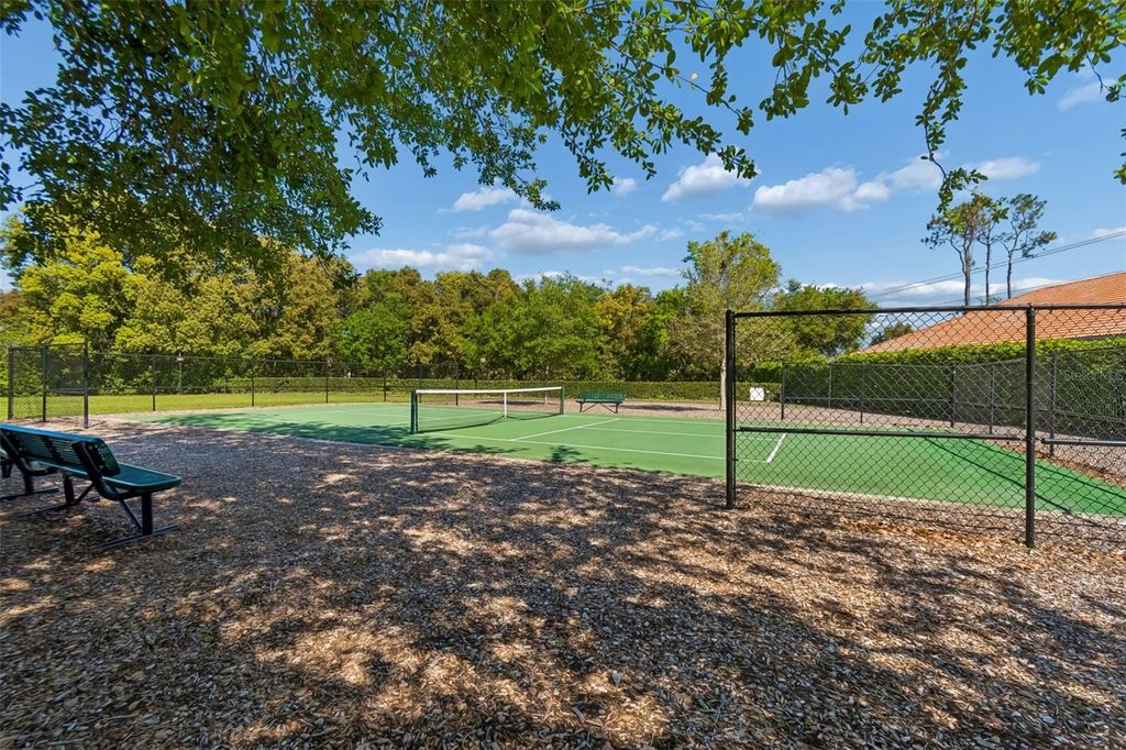 Image 40 of property listing at 17008 MADRES DE AVILA, Tampa, FL 33613