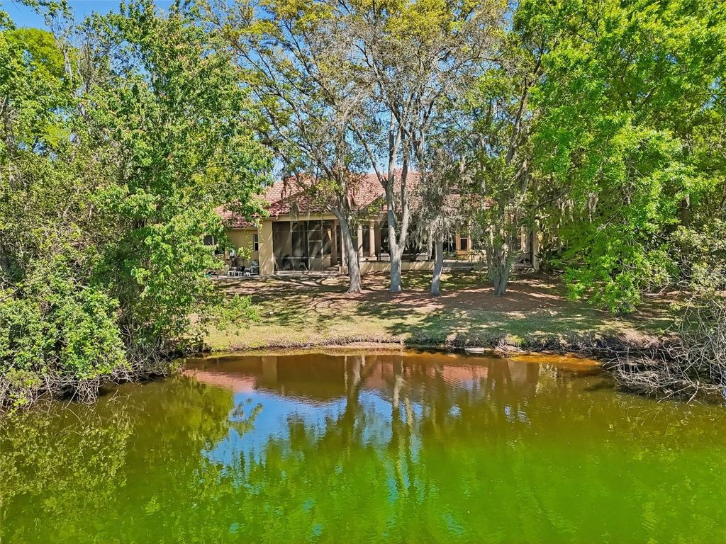 Image 6 of property listing at 17008 MADRES DE AVILA, Tampa, FL 33613