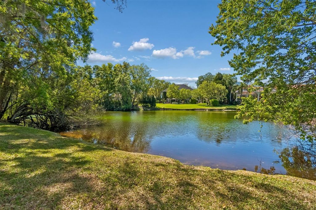 Image 7 of property listing at 17008 MADRES DE AVILA, Tampa, FL 33613