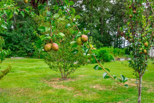 7354 County Road 44, Fort Payne, AL 35968