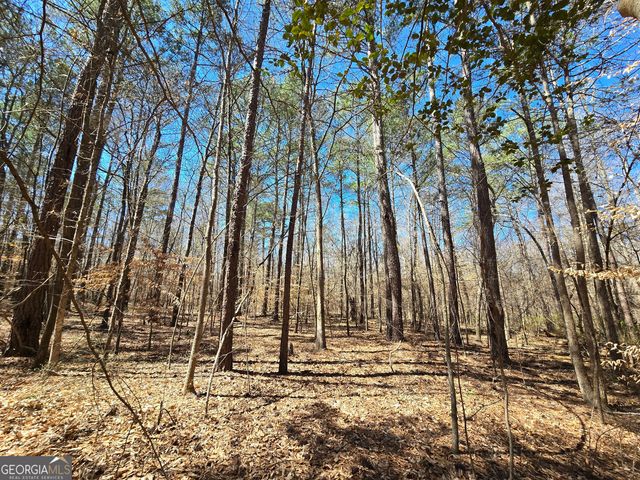 0 River Shoals Court, Covington, GA 30016