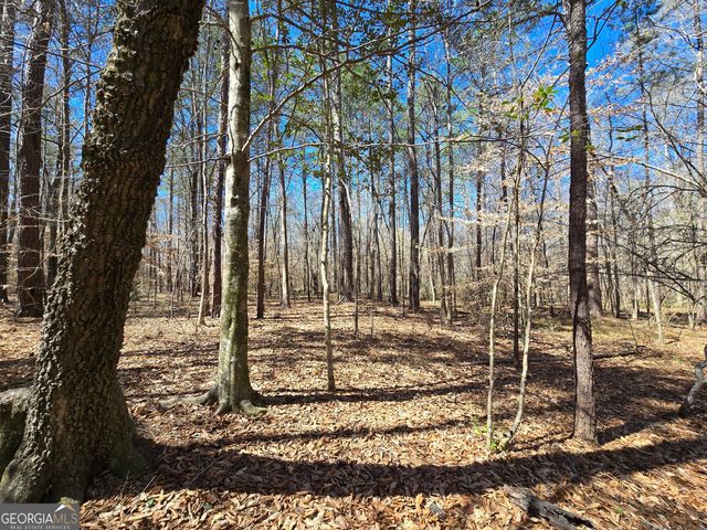 0 River Shoals Court, Covington, GA 30016